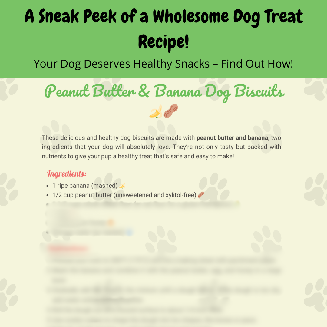 Healthy & Sweet Dog Treats